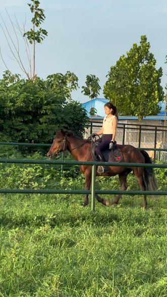 特色农场马术活动,传承传统骑乘文化 特色农场马术活动,传承传统骑乘文化