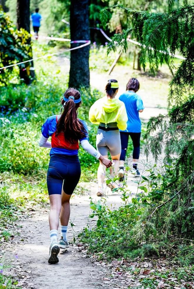 开云体育下载官网-特色森林越野跑，拥抱自然的运动新体验的简单介绍