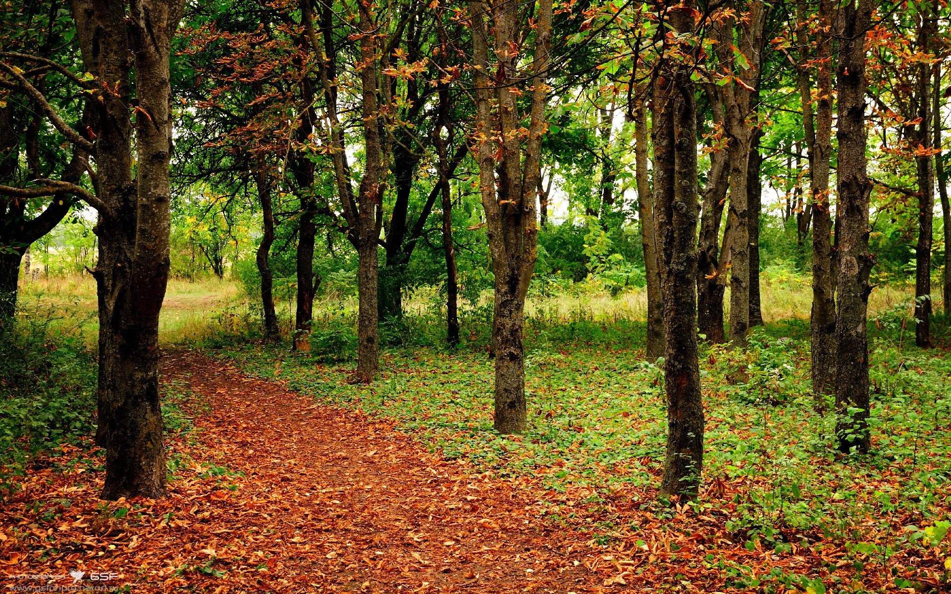 PSG.LGD选手训练成果显著,psg lgd阵容