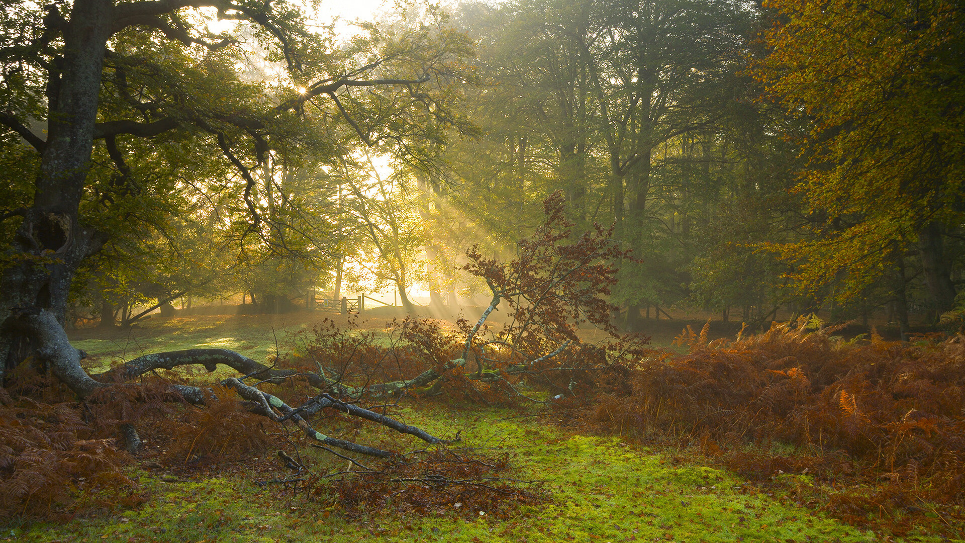 全场篮球三分大战精彩剪辑,篮球三分球大赛