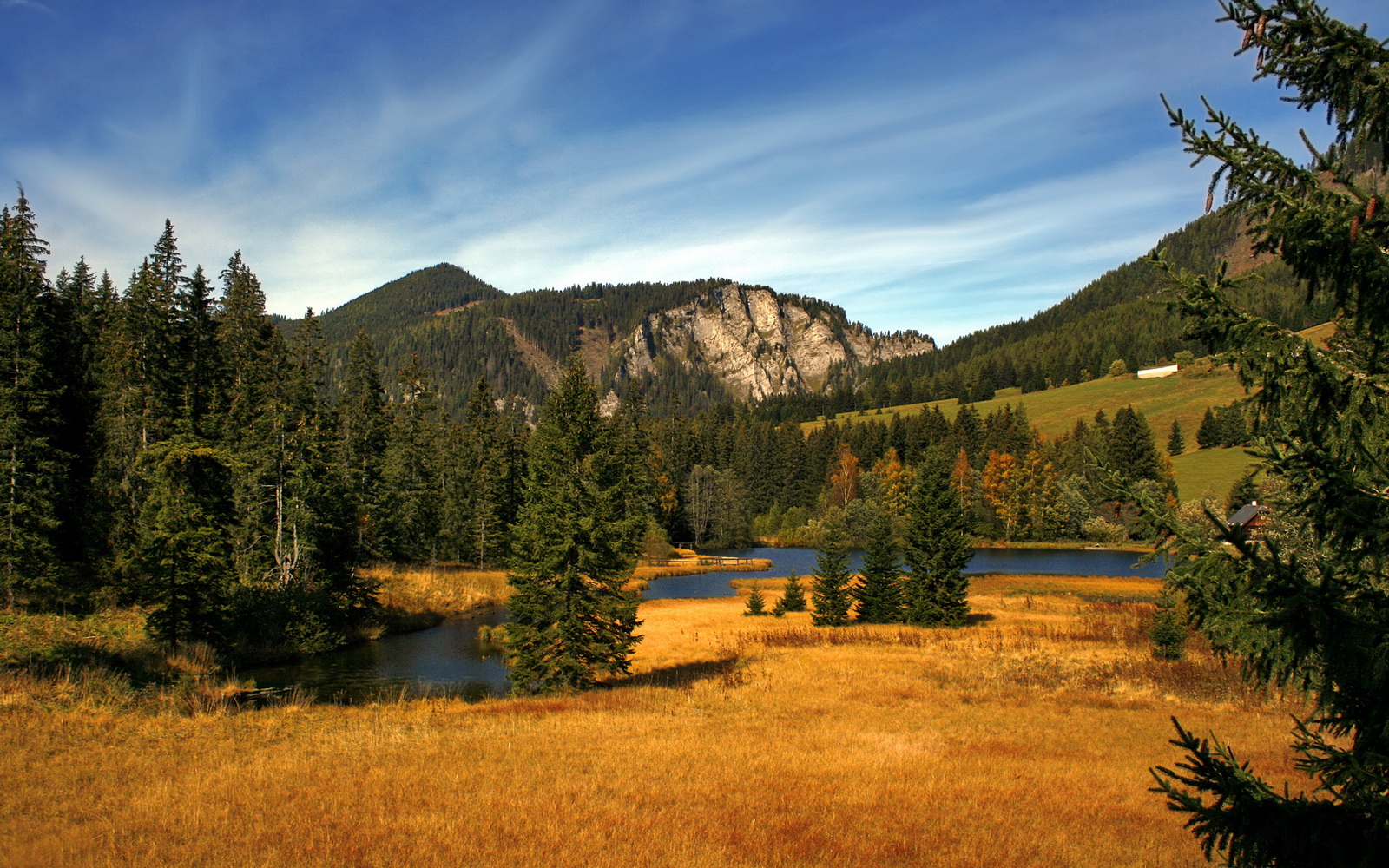 开云体育APP下载-巴伐利亚竞技取得连胜，球队跻身德甲榜首，巴伐利亚怎么样