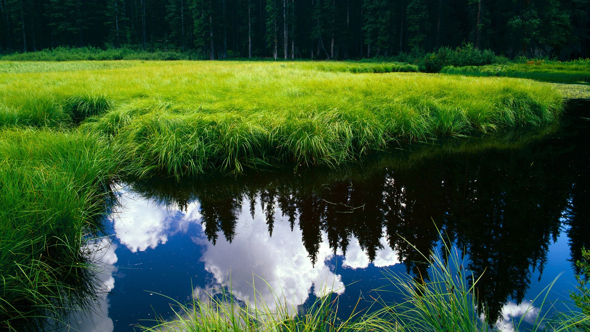 经典战役!国内足球联赛战火重燃,国内足球联赛最新排名安排