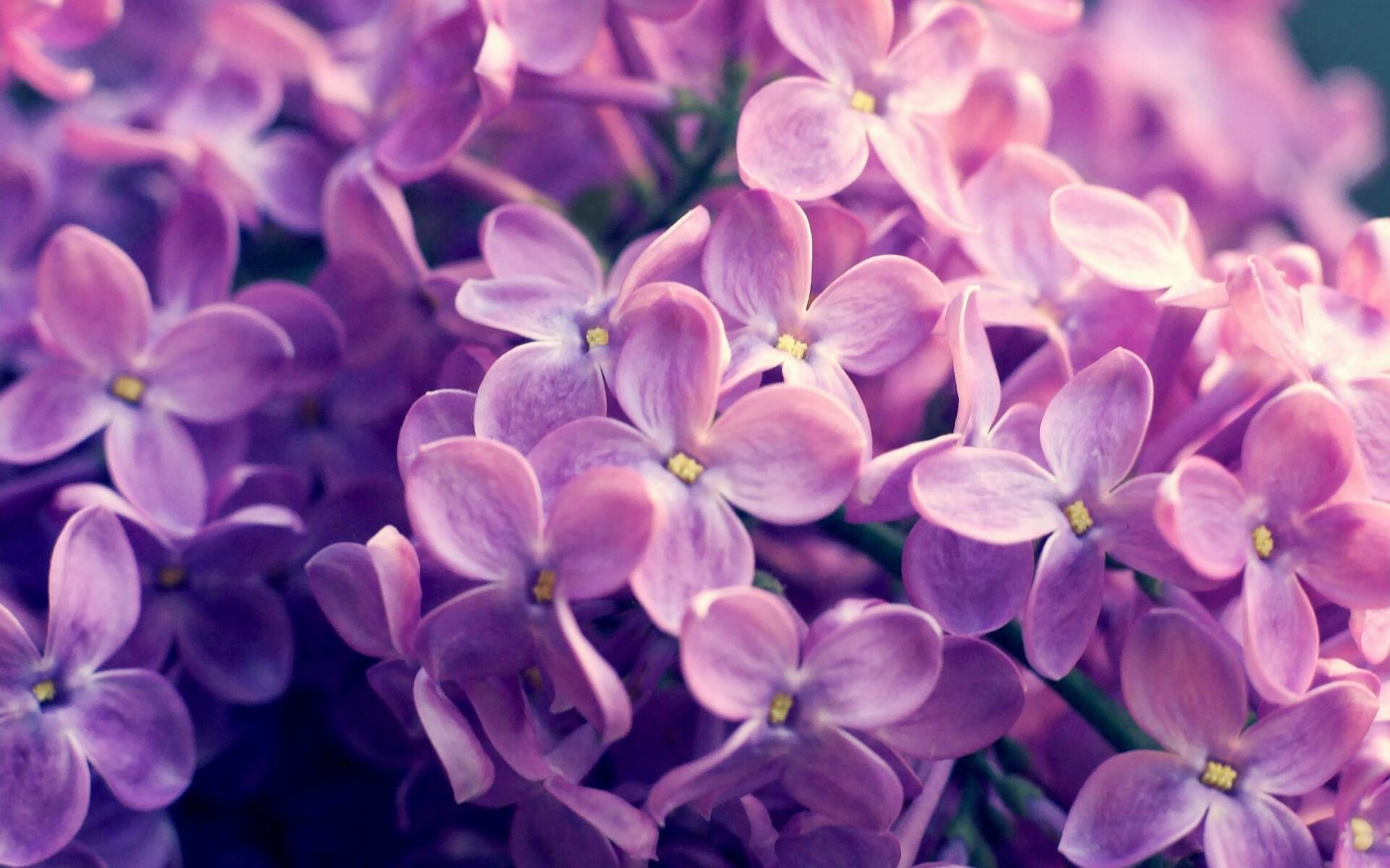 开云体育首页-快节奏球队如何在阵地战中维持效率，快节奏足球