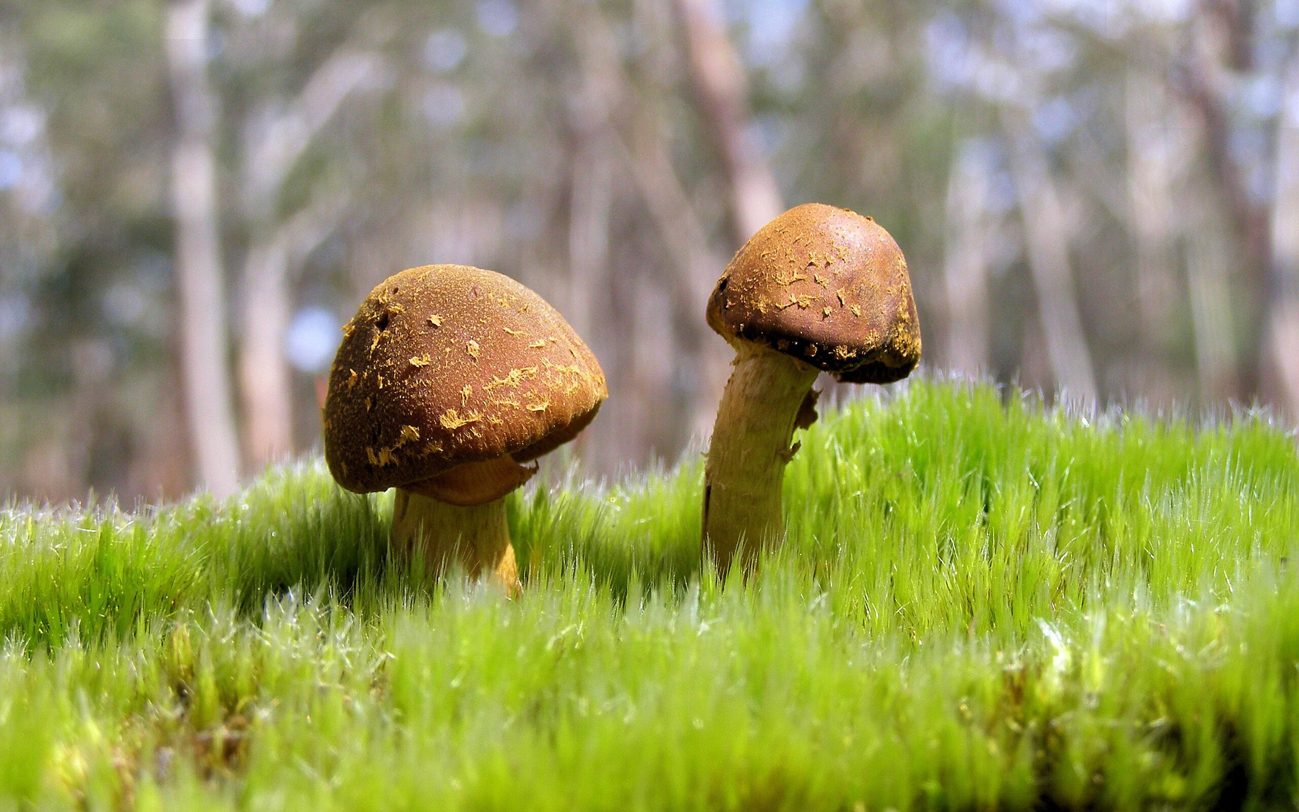 新疆男篮加大球员康复投入保障健康出战，新疆男篮官宣