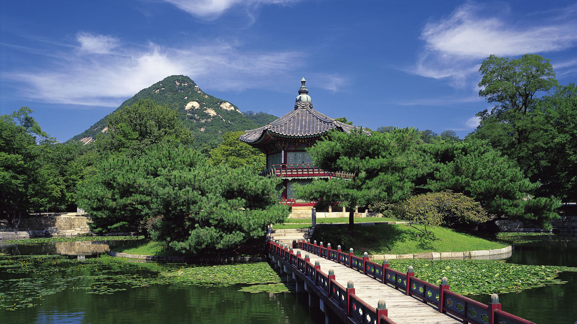 开云app安全认证-杨瀚森技术细节不断精进提升比赛效率，杨翰笙个人介绍